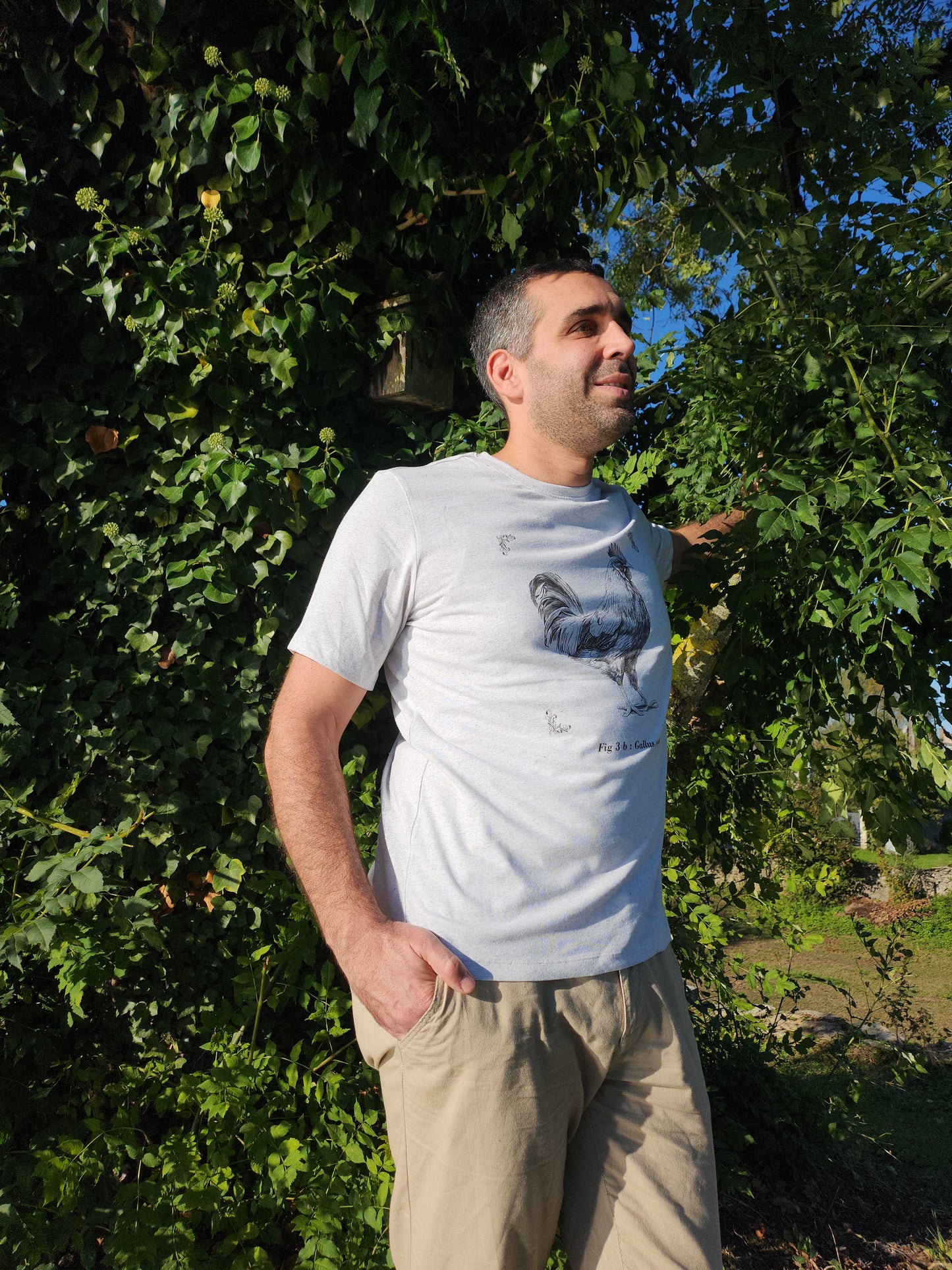 T-shirt écoresponsable - Gallus gallus