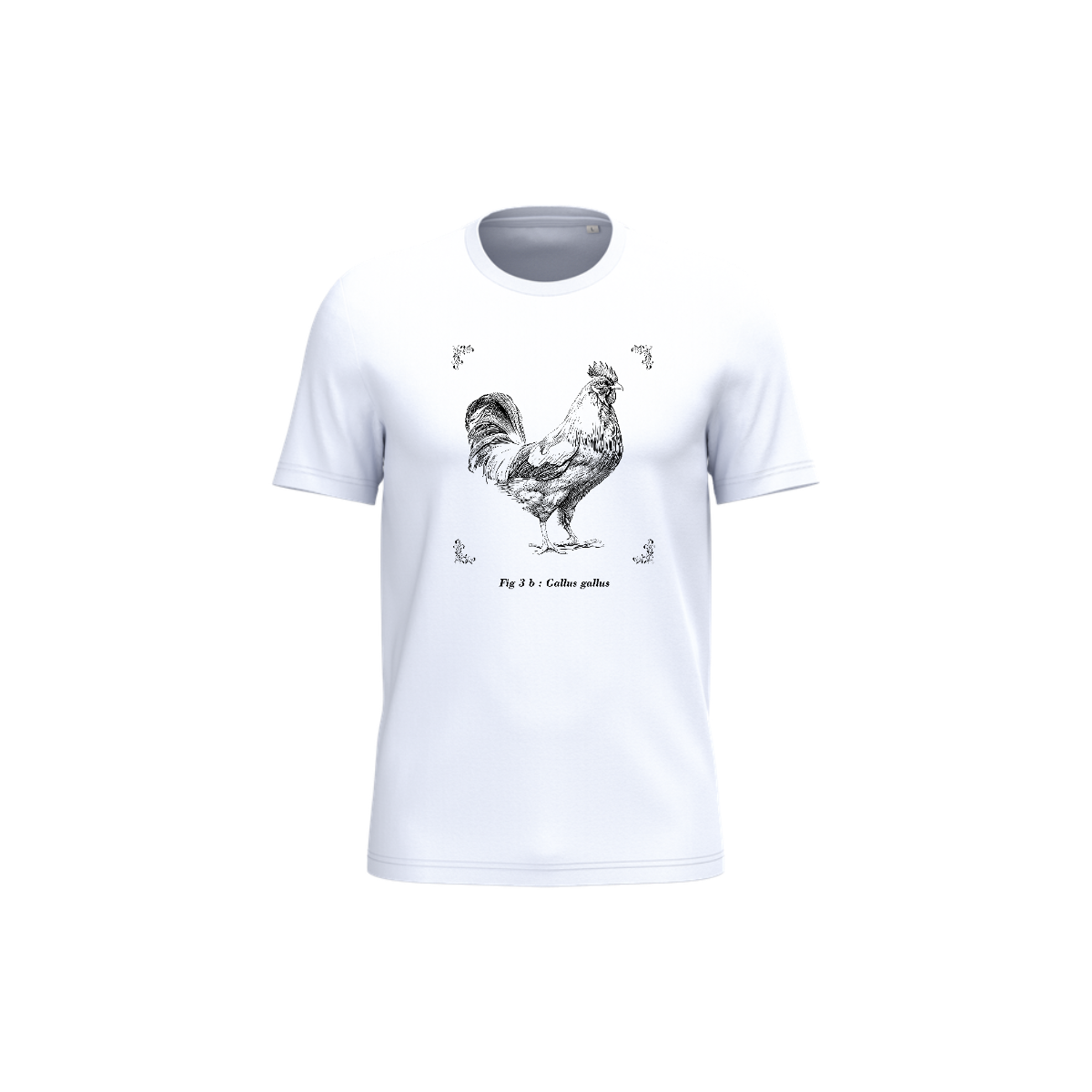 T-shirt écoresponsable - Gallus gallus