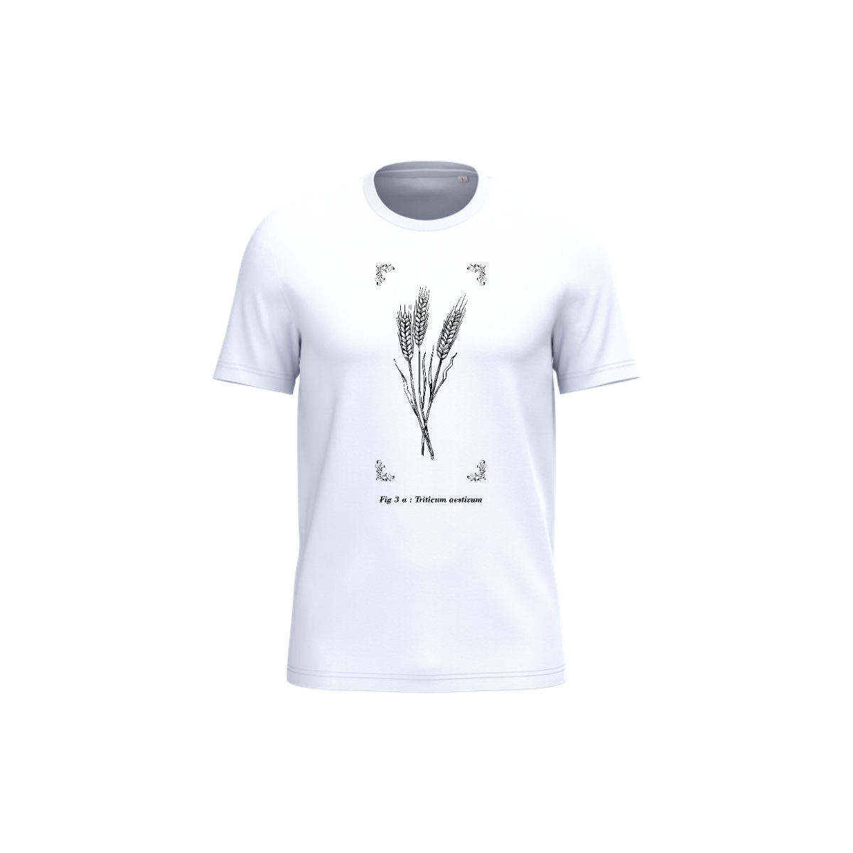 T-shirt écoresponsable - Triticum aestivum