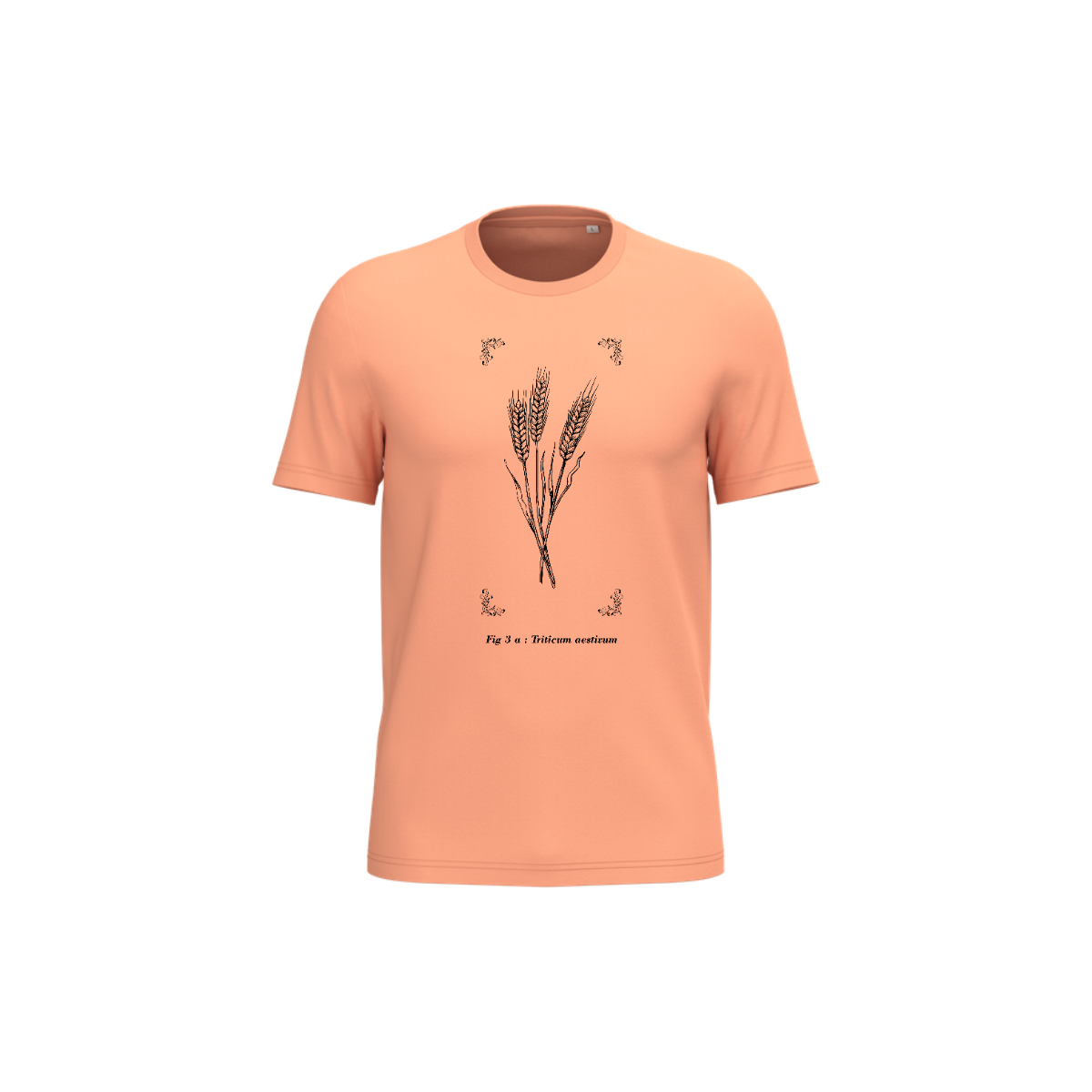 T-shirt écoresponsable - Triticum aestivum
