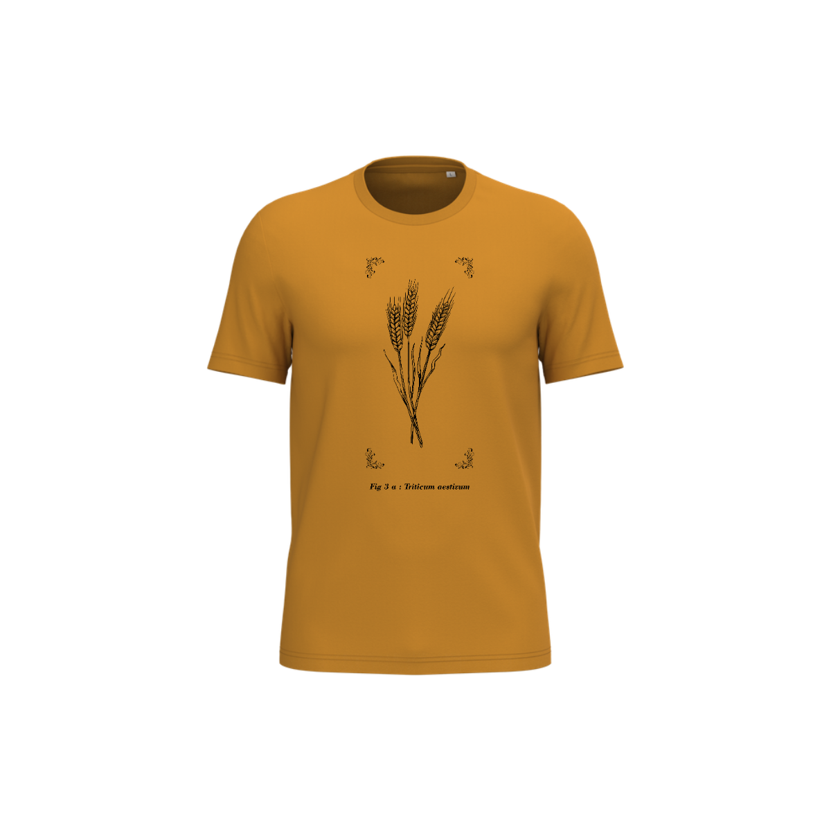 T-shirt écoresponsable - Triticum aestivum