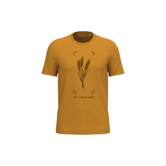 T-shirt écoresponsable - Triticum aestivum