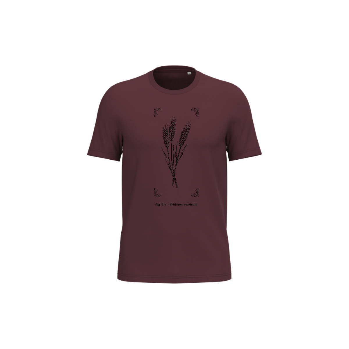 T-shirt écoresponsable - Triticum aestivum