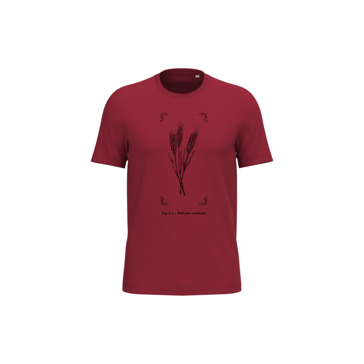 T-shirt écoresponsable - Triticum aestivum