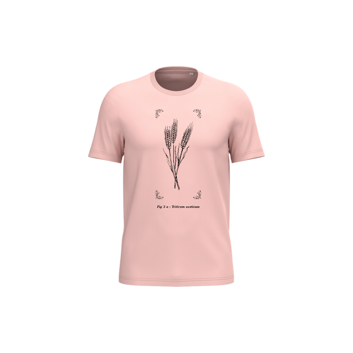 T-shirt écoresponsable - Triticum aestivum