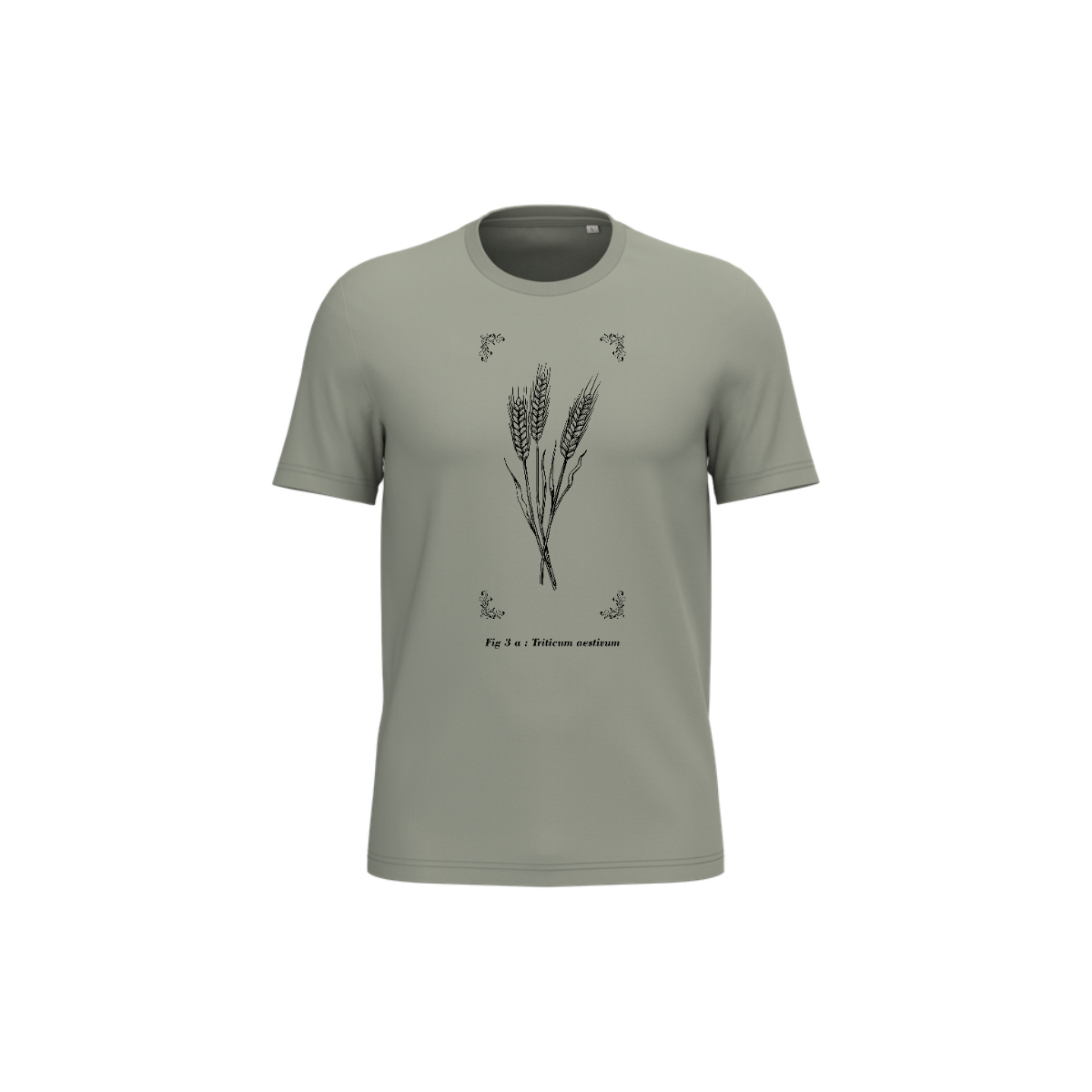 T-shirt écoresponsable - Triticum aestivum