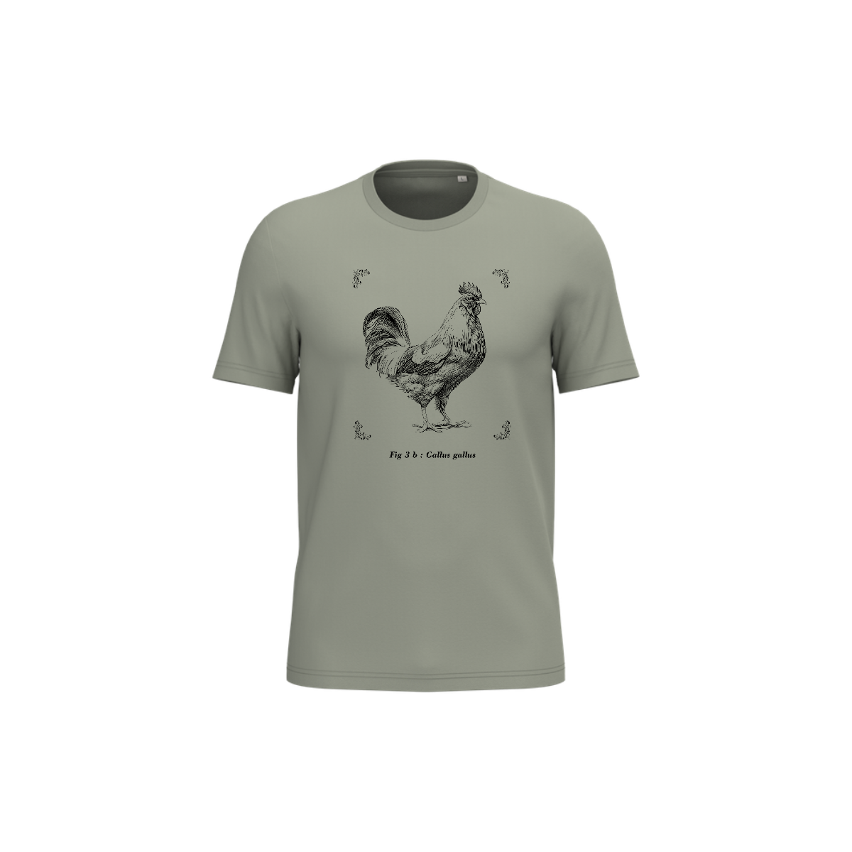 T-shirt écoresponsable - Gallus gallus