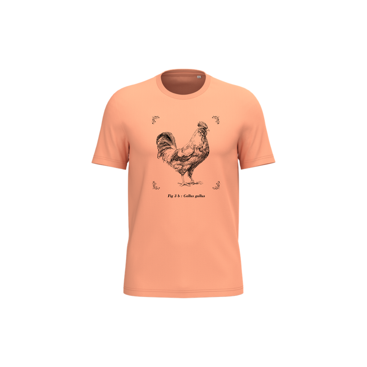 T-shirt écoresponsable - Gallus gallus