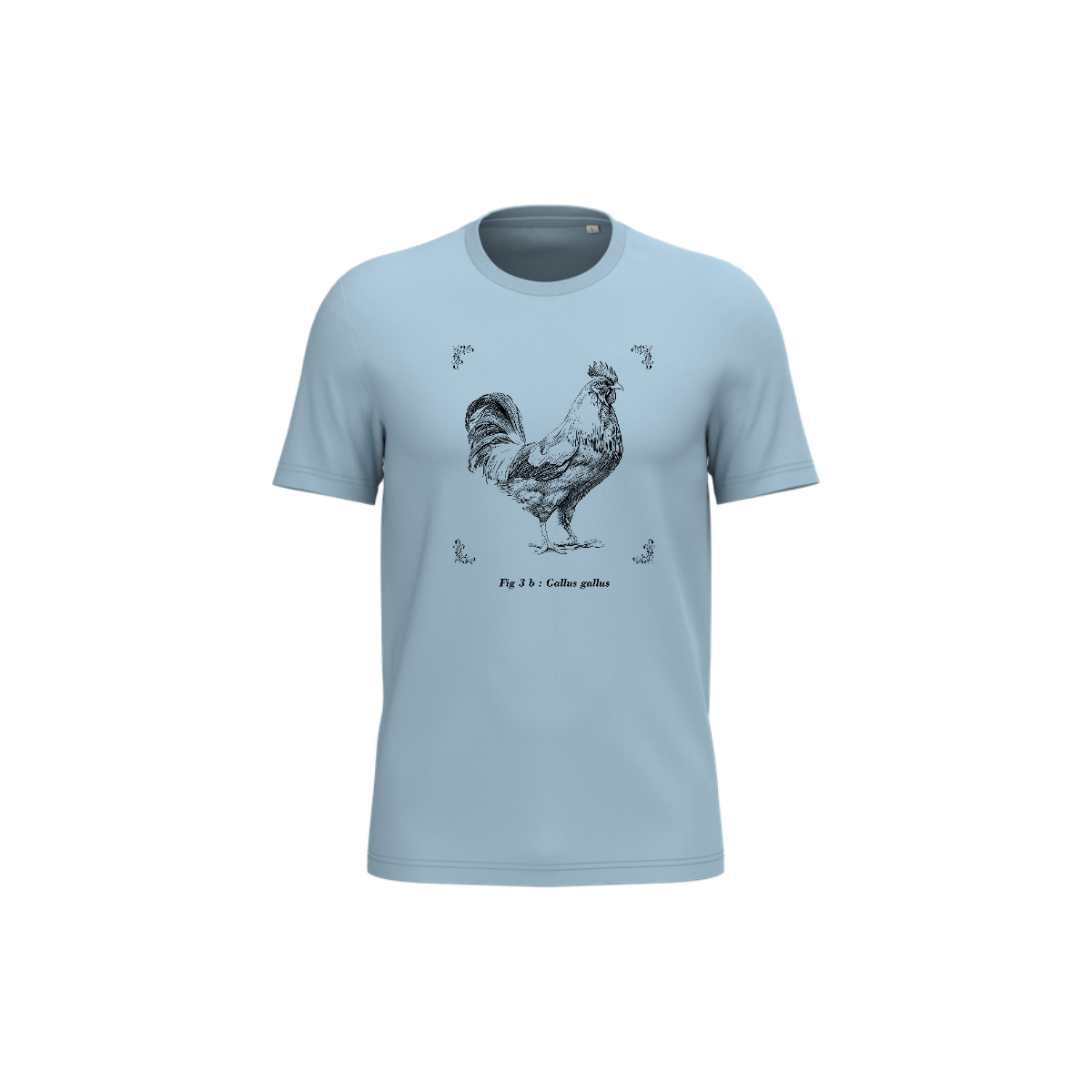 T-shirt écoresponsable - Gallus gallus