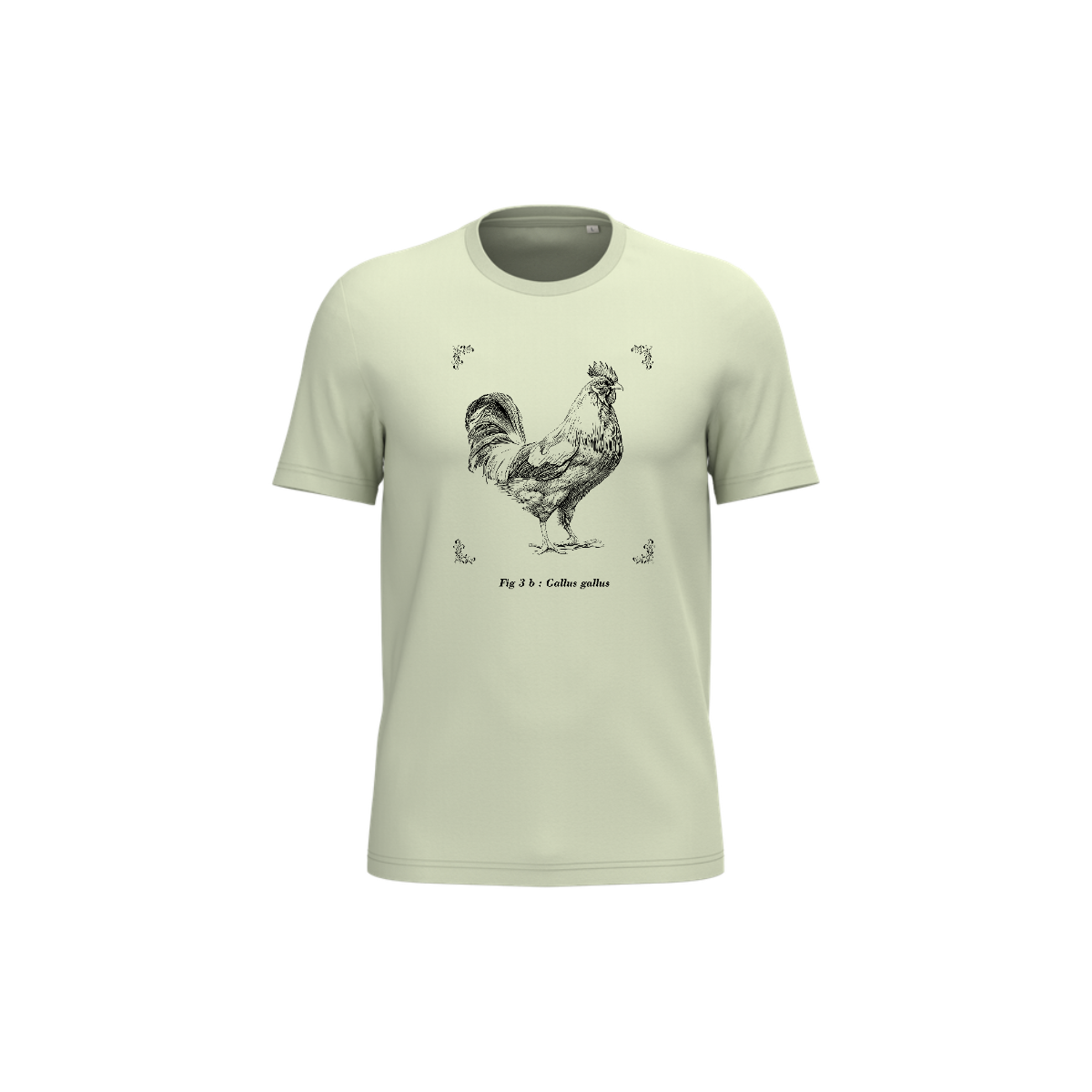 T-shirt écoresponsable - Gallus gallus