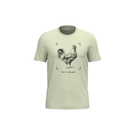 T-shirt écoresponsable - Gallus gallus