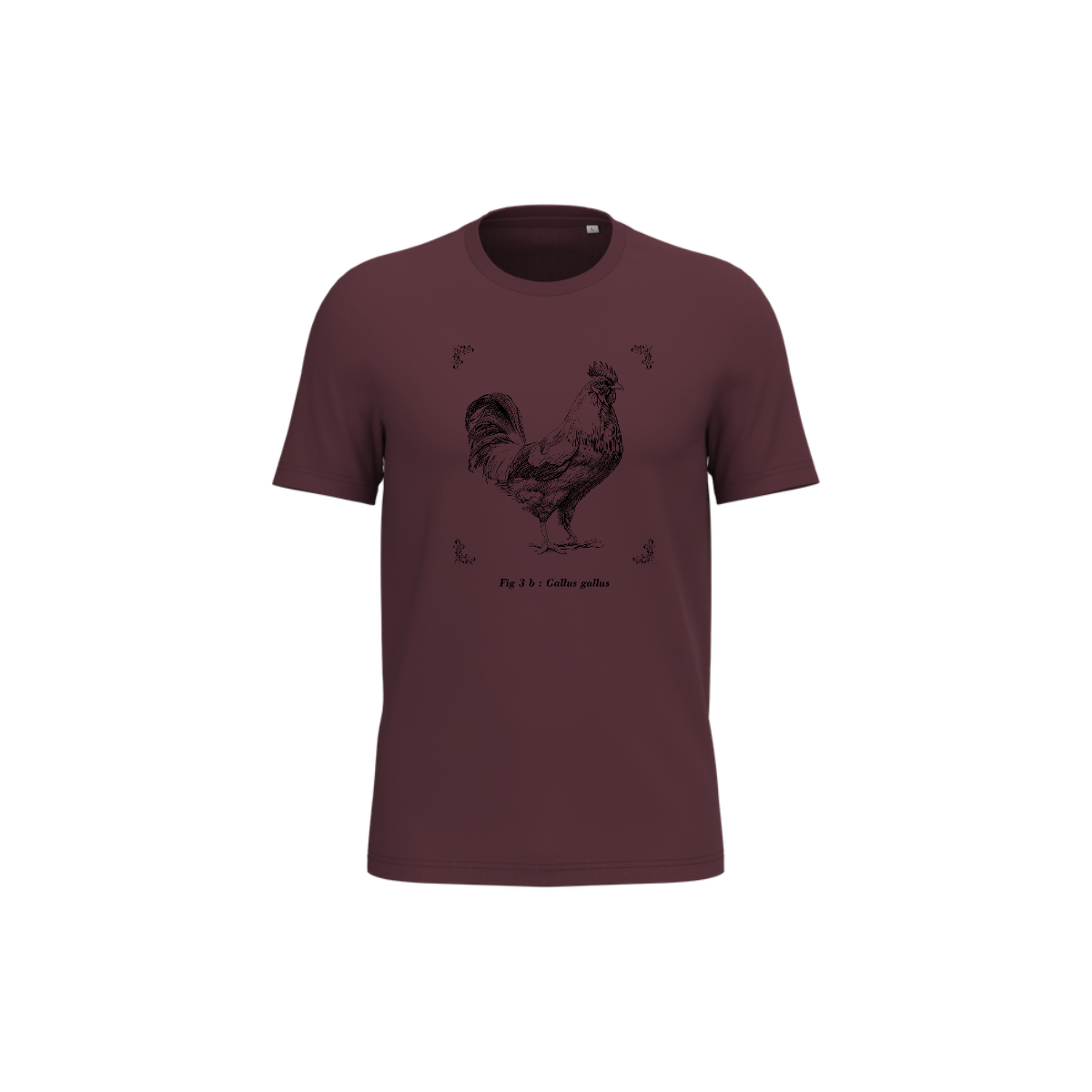T-shirt écoresponsable - Gallus gallus