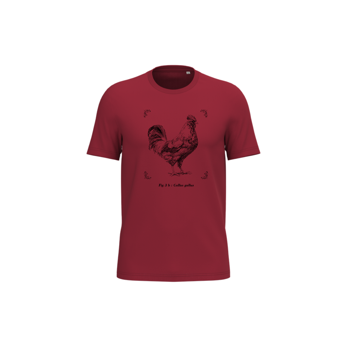 T-shirt écoresponsable - Gallus gallus