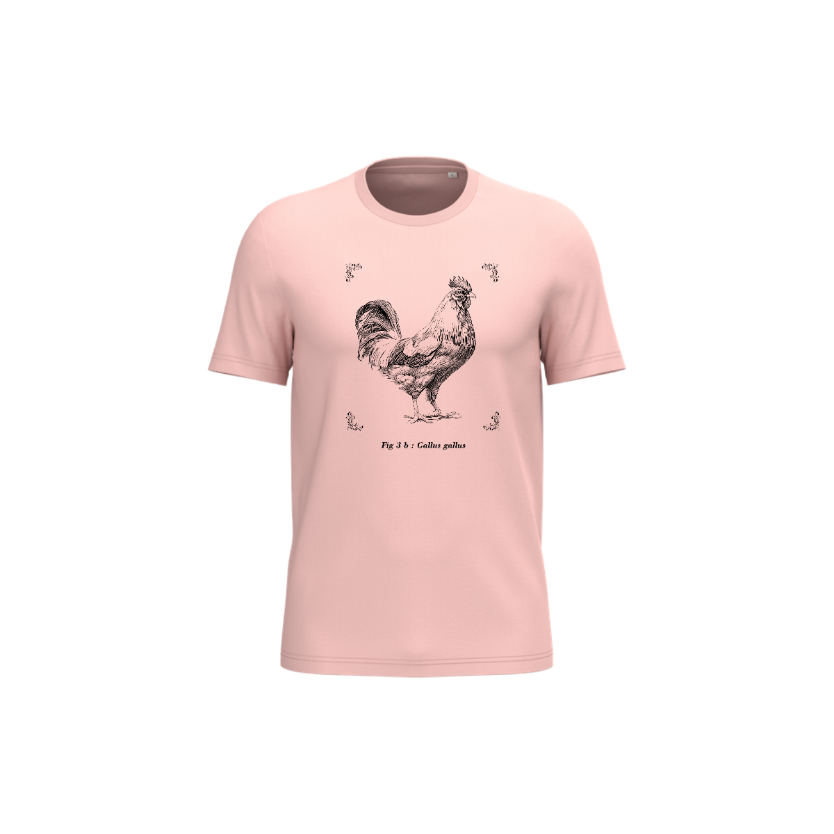 T-shirt écoresponsable - Gallus gallus
