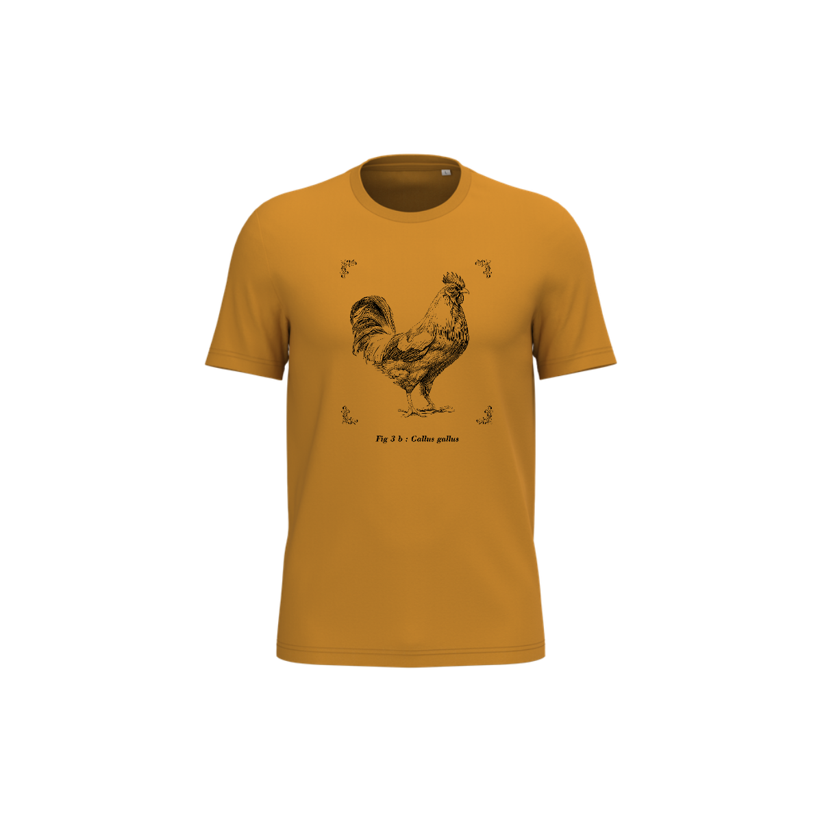 T-shirt écoresponsable - Gallus gallus