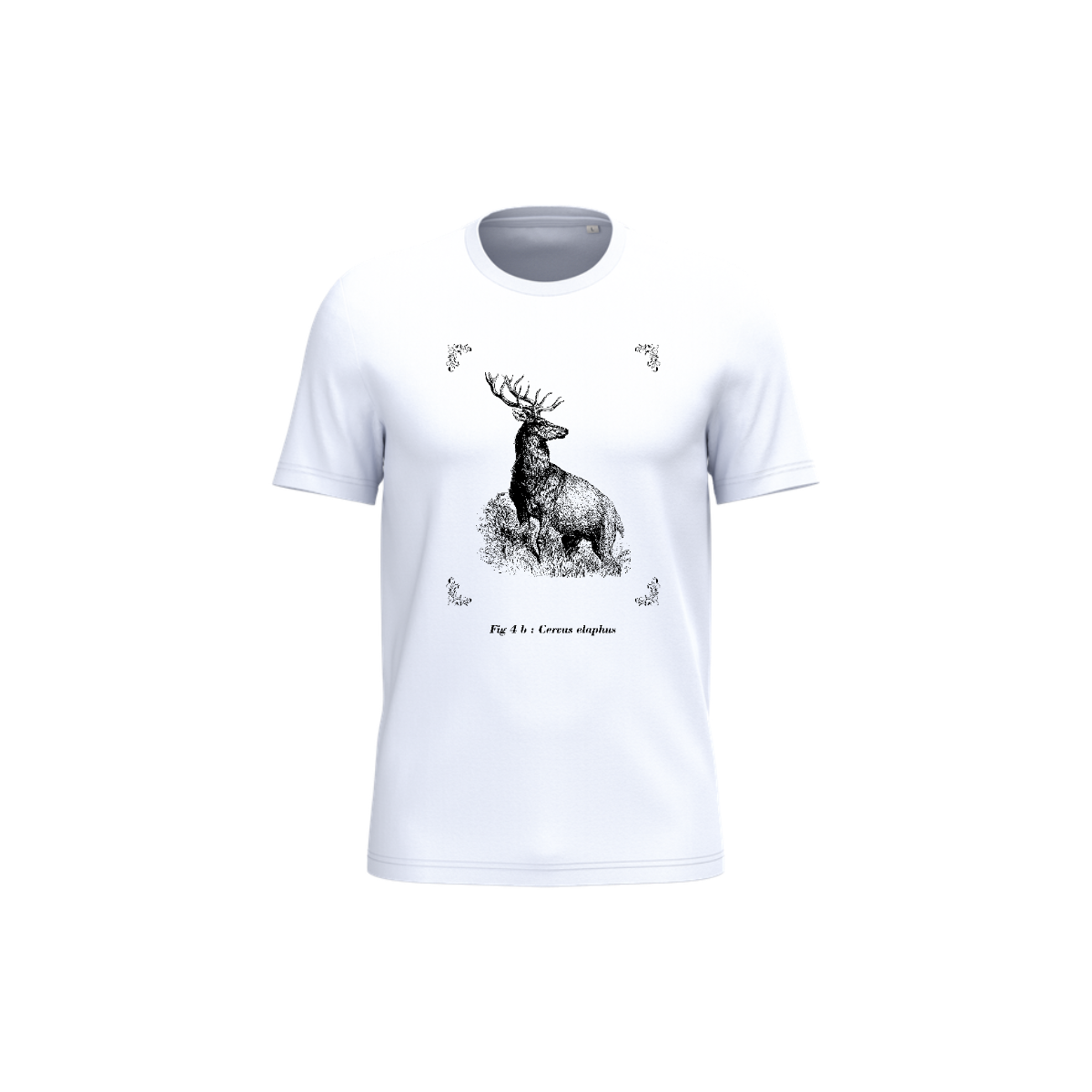 T-shirt écoresponsable - Cervus elaphus