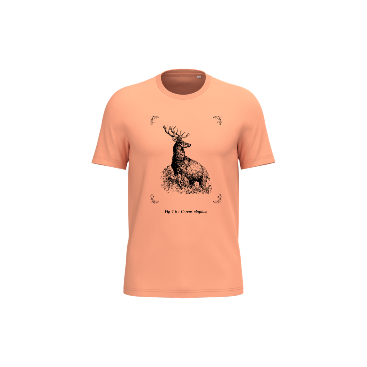T-shirt écoresponsable - Cervus elaphus