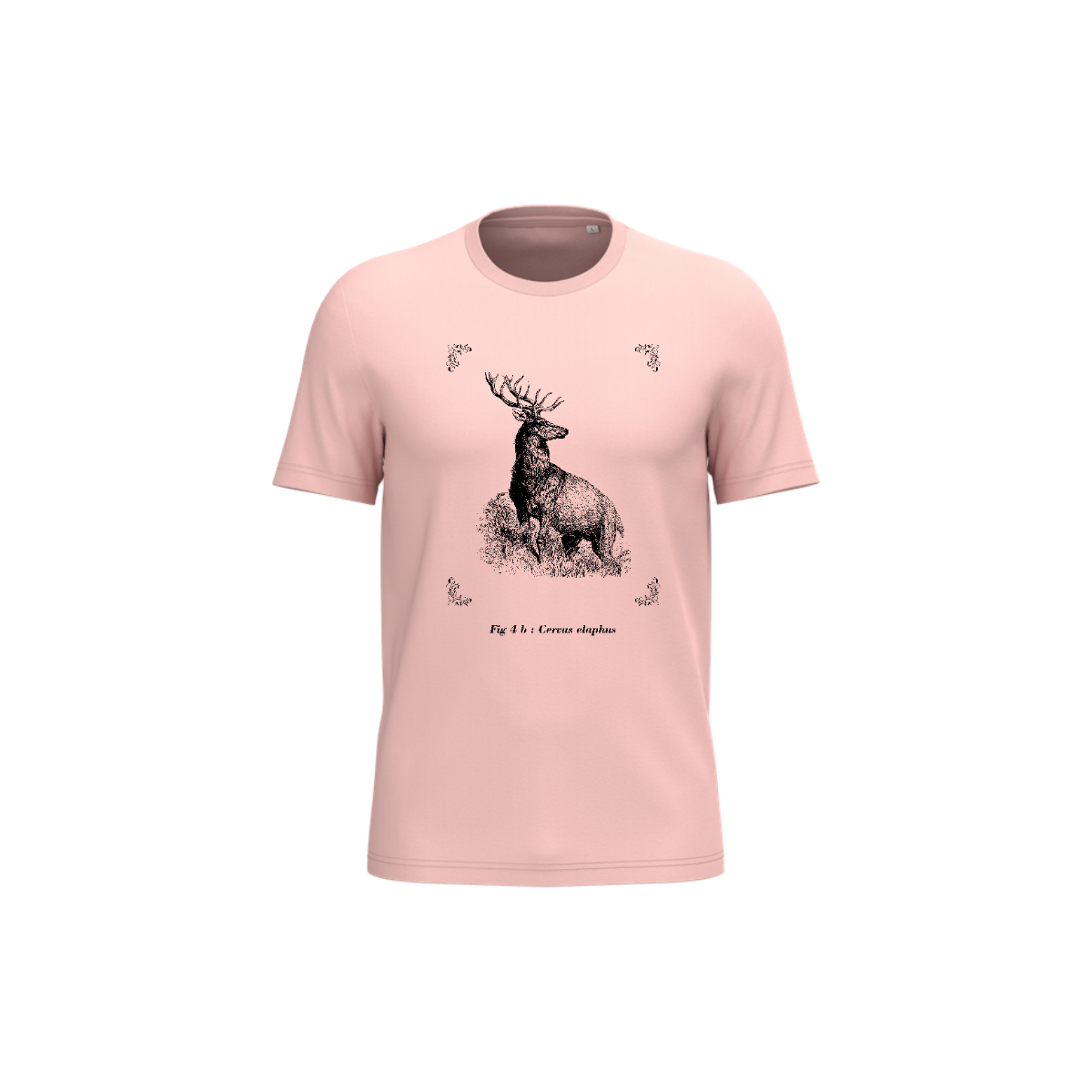 T-shirt écoresponsable - Cervus elaphus