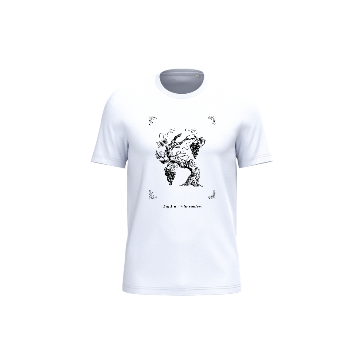 T-shirt écoresponsable - Vitis vinifera