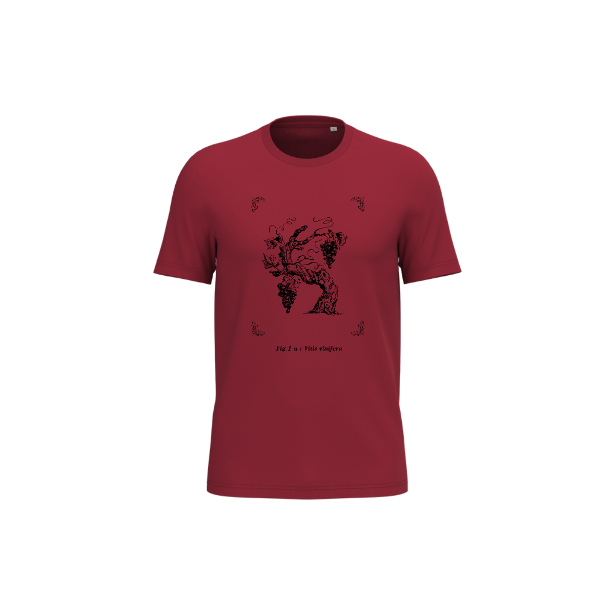 T-shirt écoresponsable - Vitis vinifera