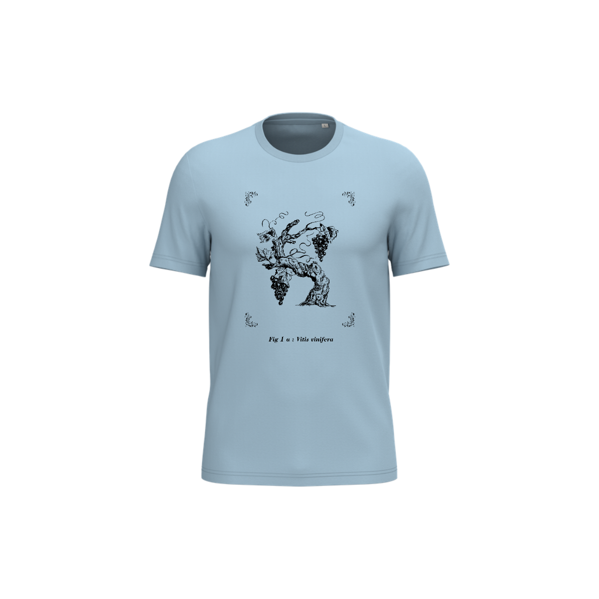 T-shirt écoresponsable - Vitis vinifera