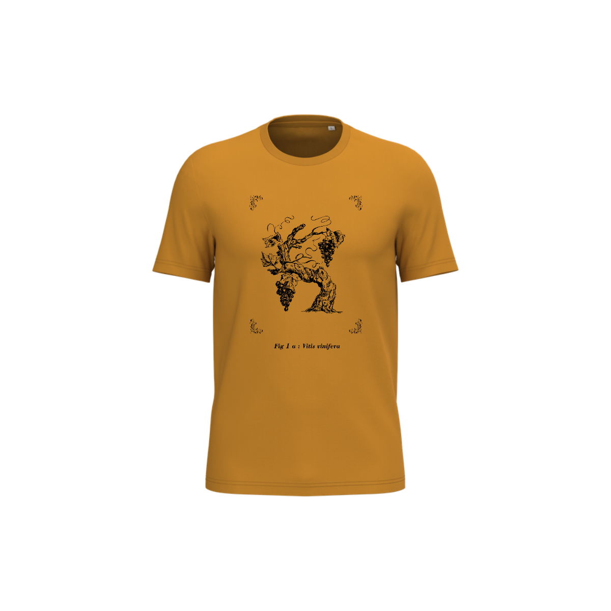T-shirt écoresponsable - Vitis vinifera