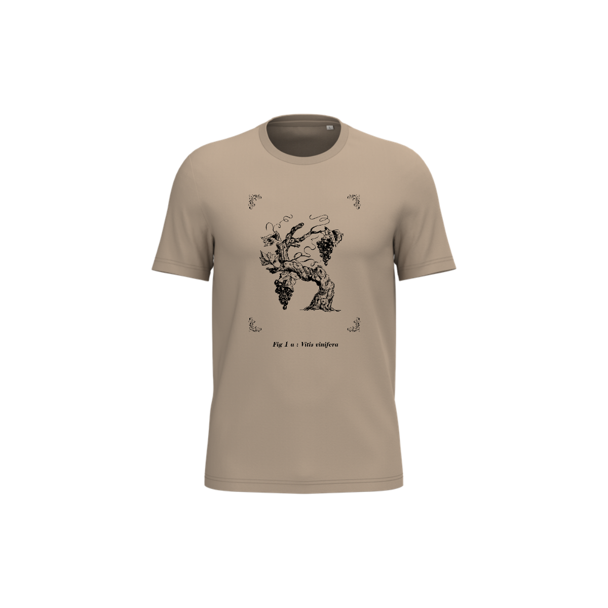 T-shirt écoresponsable - Vitis vinifera