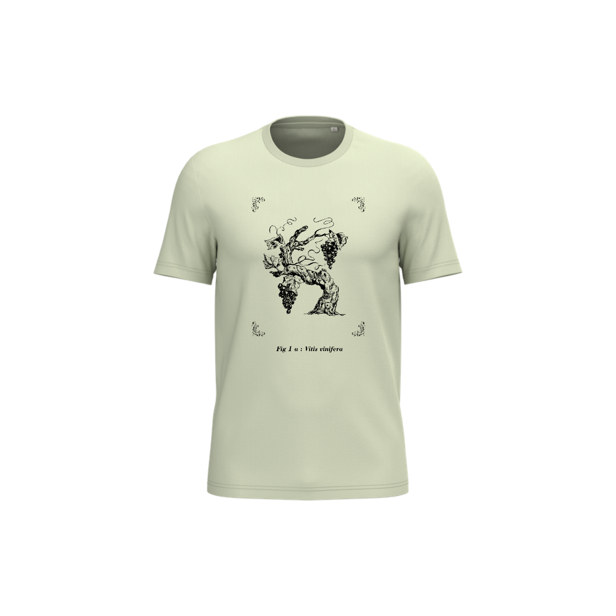 T-shirt écoresponsable - Vitis vinifera
