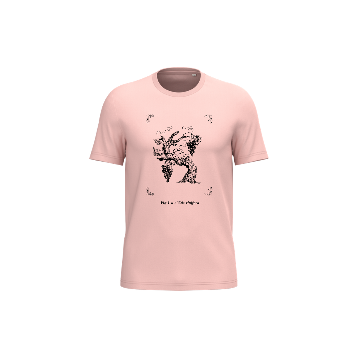 T-shirt écoresponsable - Vitis vinifera