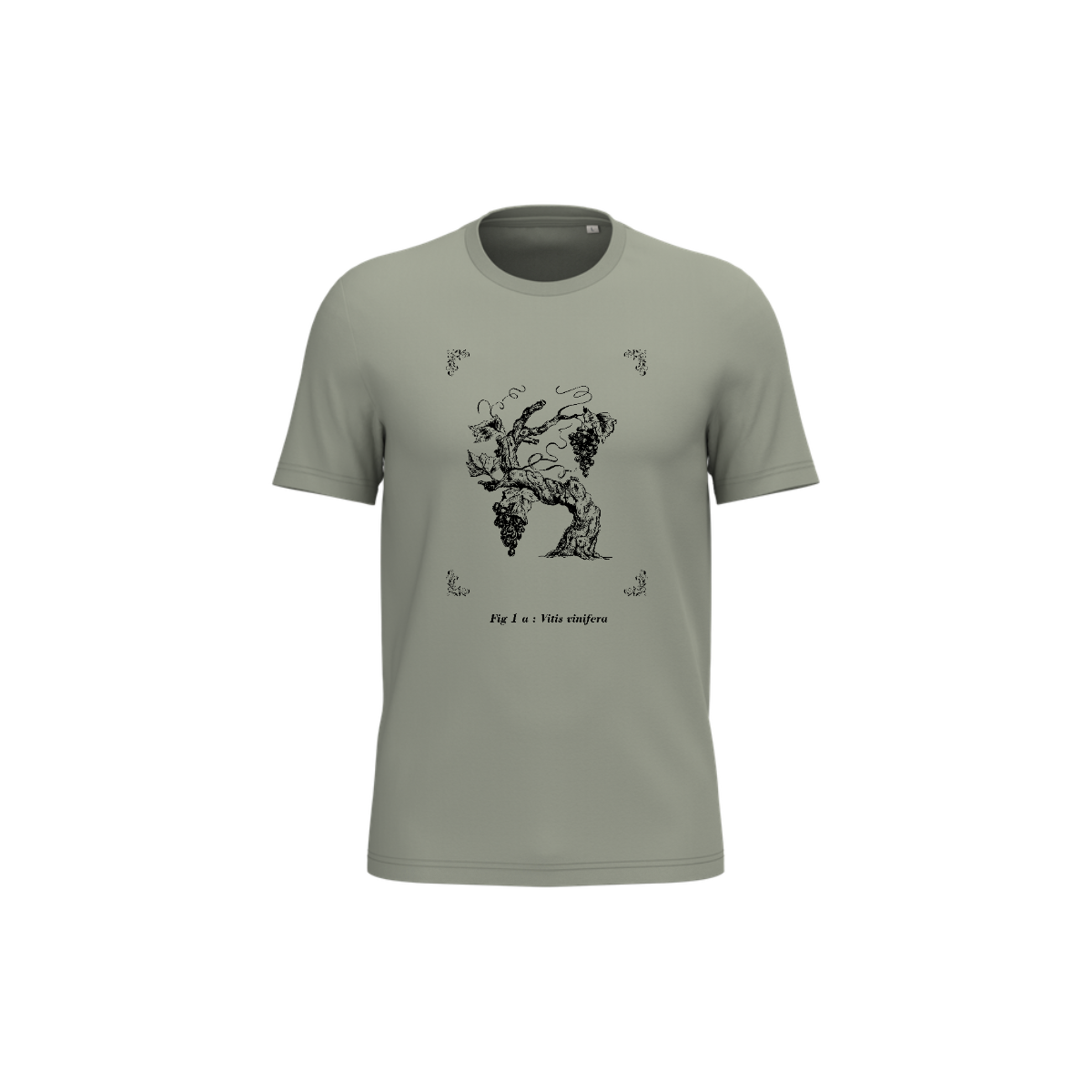 T-shirt écoresponsable - Vitis vinifera