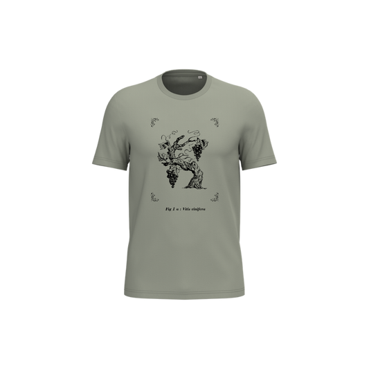 T-shirt écoresponsable - Vitis vinifera