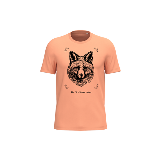 T-shirt écoresponsable - Vulpes vulpes